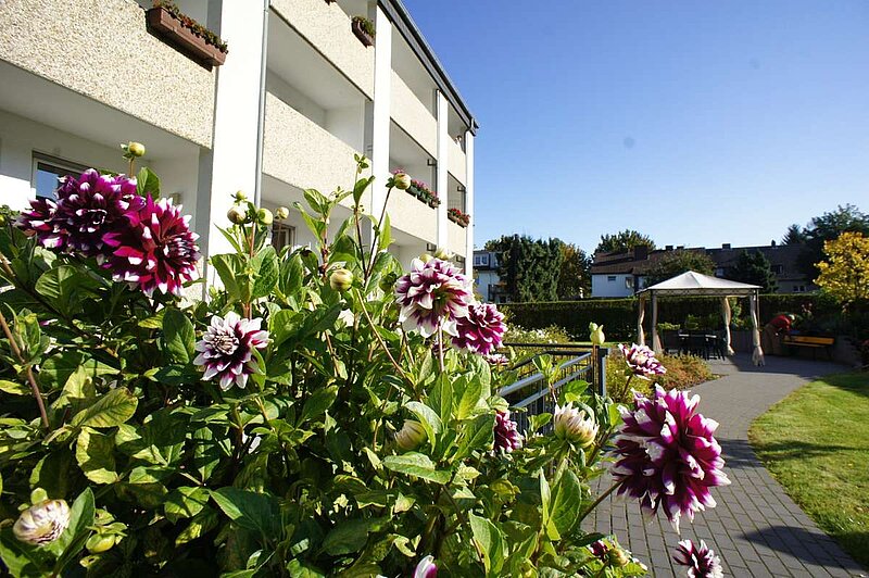 Hausrückseite