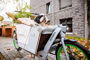WSG Lastenrad mit Hund vorne drin