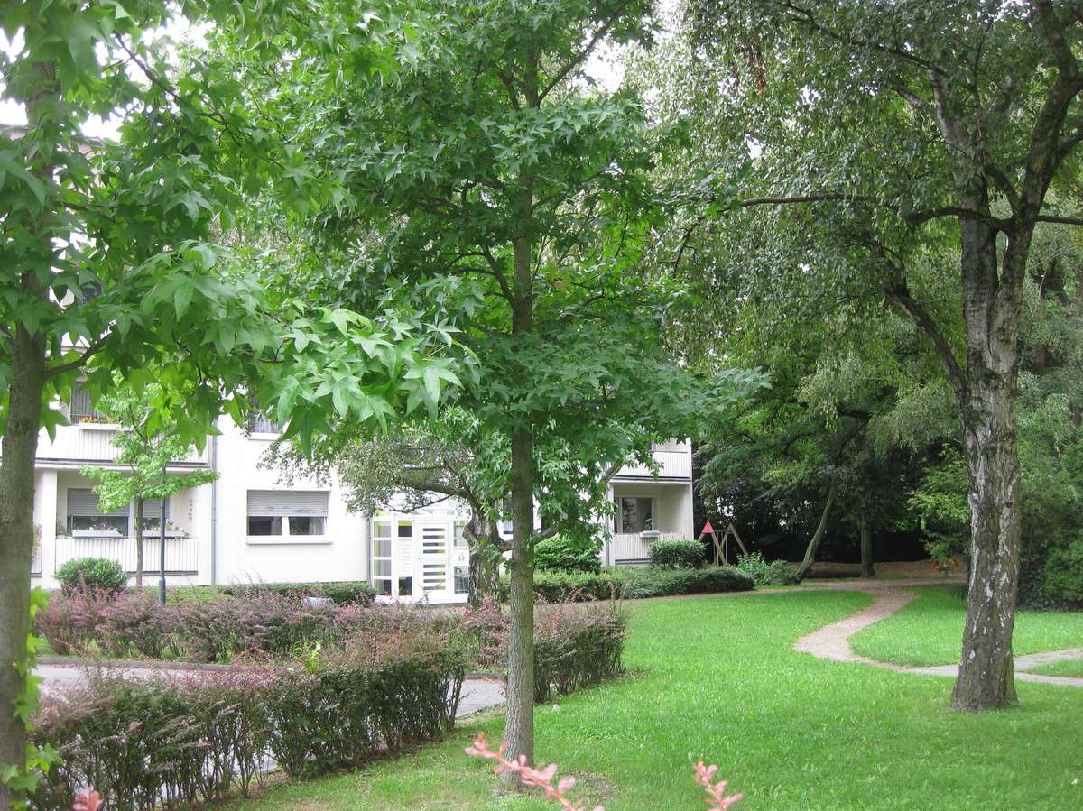 Garten